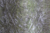 Syston fibreglass roof work